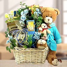 A Very Special Beary Gift Basket of Delights for Boys