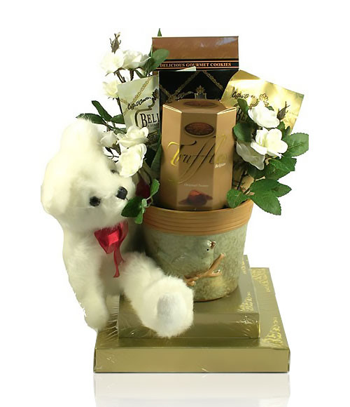 Beary Best Wishes Gift Basket