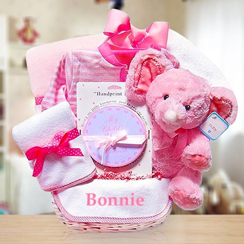 Minky Dots Pink Personalized Gift Basket