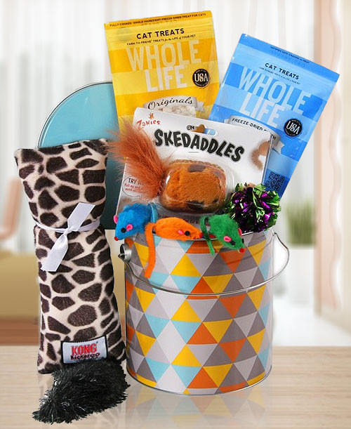 Fun, Activity & Tasty Treats for Your Kitty Gift Basket