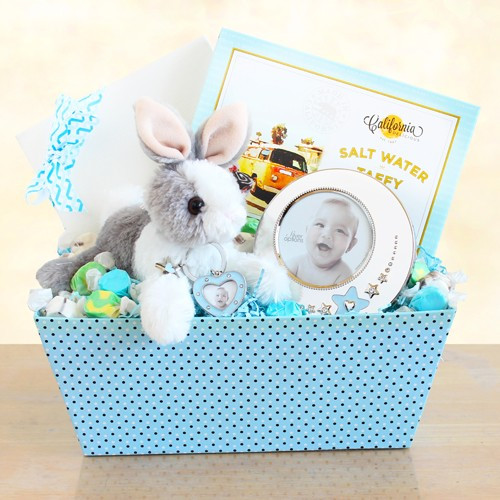 Welcome Home, Baby Boy! Bunny & Picture Frame Gift Set