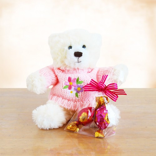 A Plush Bear and Godiva for My Valentine Gift