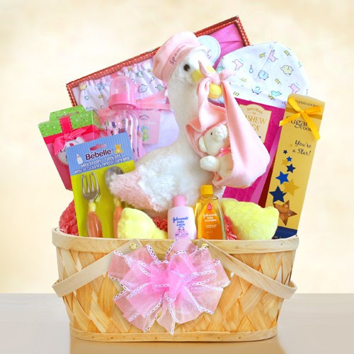 Special Stork Delivery Baby Girl Basket