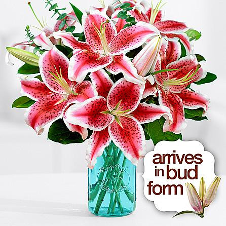 Lovely Lilies