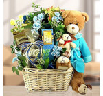 A Very Special Beary Gift Basket of Delights for Boys