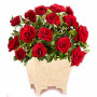 Miniature Living Red Rose