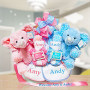 Personalized Double The Blessings Twins Baby Gift Basket
