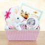 Welcome Home, Baby Girl!  Bunny & Picture Frame Gift Set